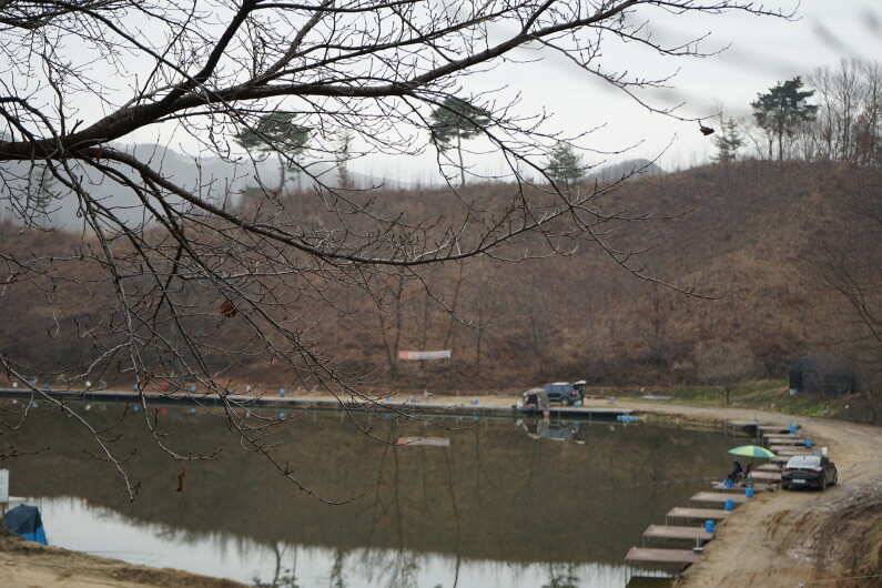 회암낚시터 조황 입니다 (유료터정보 - 유료터점주조황)