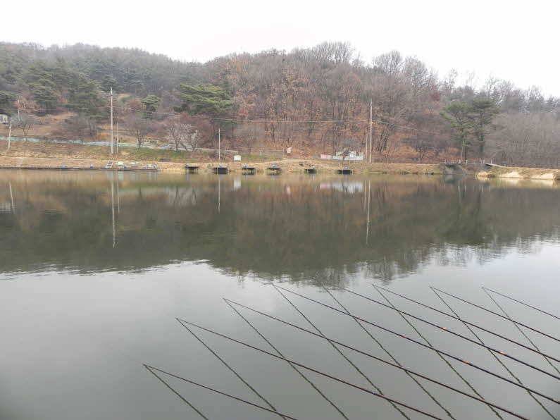 안성회암낚시터 가을붕어 그리고4짜 (유료터정보 - 유료터점주조황)