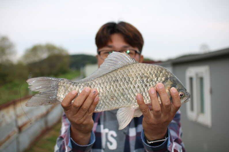 fish_pay_3c9d5_091622_62855.jpg