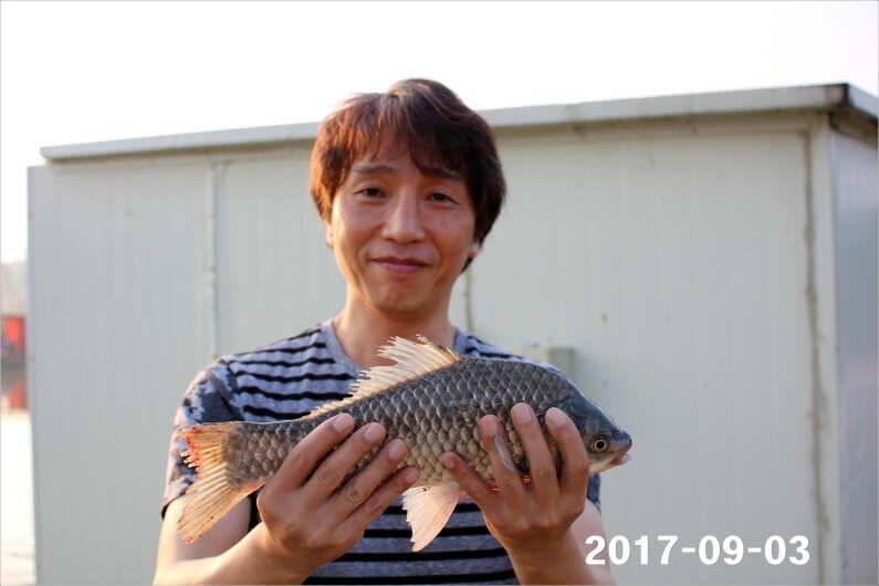 주간 이벤트 주인공 (유료터정보 - 유료터점주조황)