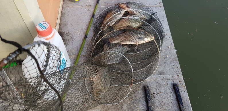 fish_pay_41194_041119_18142.jpg