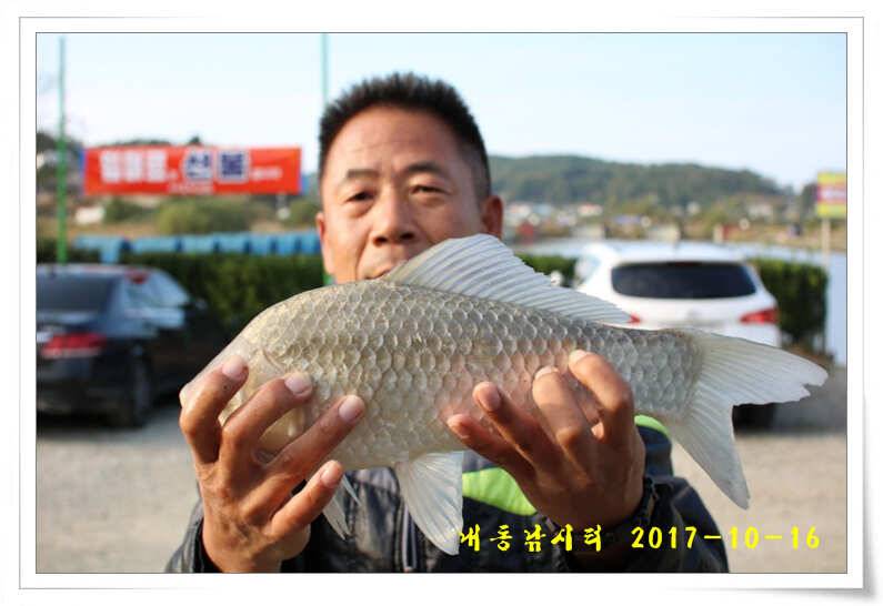 방류 또 방류 (유료터정보 - 유료터점주조황)