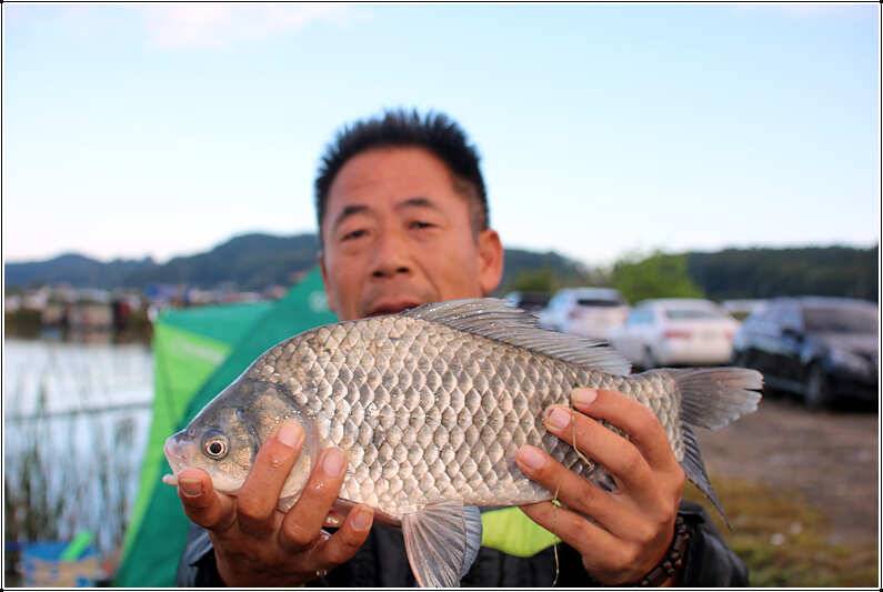 추 석 선 물 (유료터정보 - 유료터점주조황)