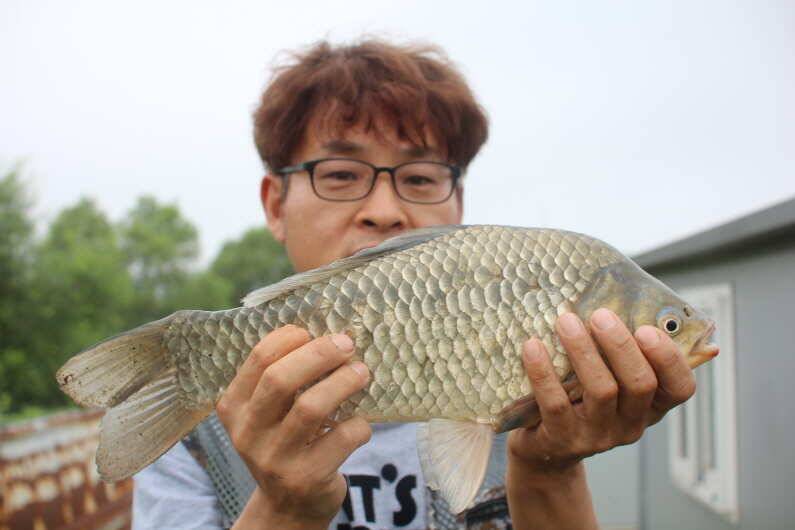 내동지 5주년 기념 이벤트를 마감하며 (유료터정보 - 유료터점주조황)
