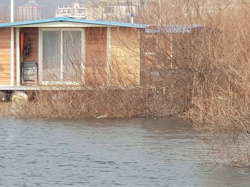 물 낚시 시작과 함께 올라온 허리급 붕어 (유료터정보 - 유료터점주조황)
