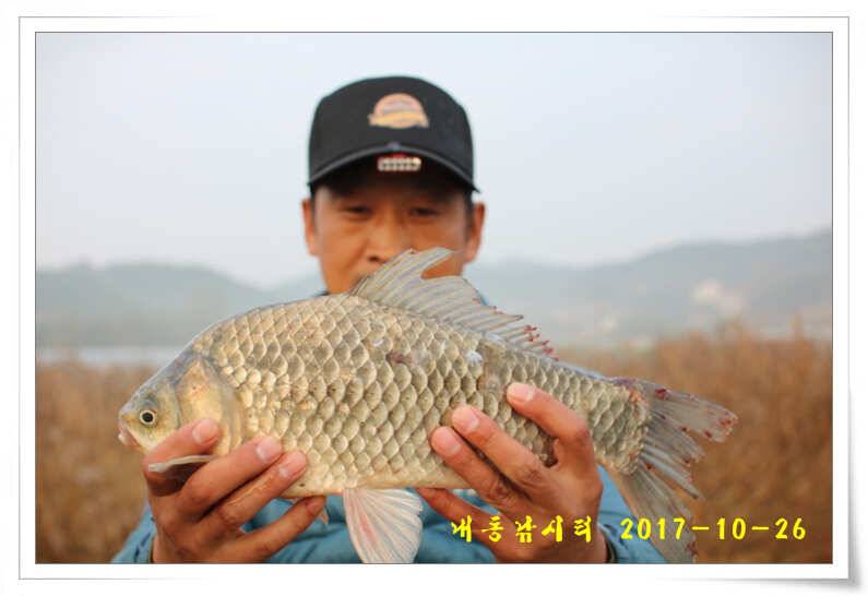 뻥 뚫렸다 (유료터정보 - 유료터점주조황)