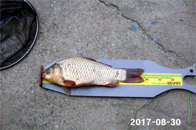 4짜 500번째 조사님을 찾습니다 (유료터정보 - 유료터점주조황)
