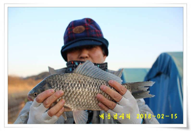 동절기 토종 4짜 (유료터정보 - 유료터점주조황)