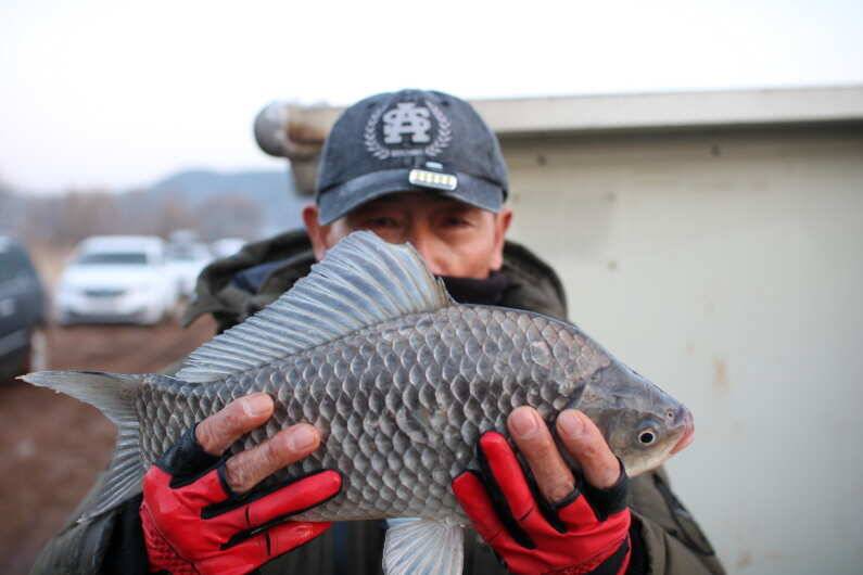 fish_pay_4f402_014747_18402.jpg