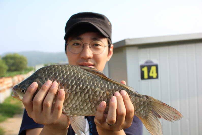 내동지 5주년 기념 이벤트를 마감하며 (유료터정보 - 유료터점주조황)