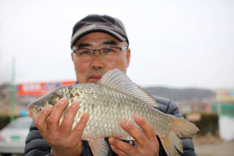 fish_pay_590cb_014924_70118.jpg