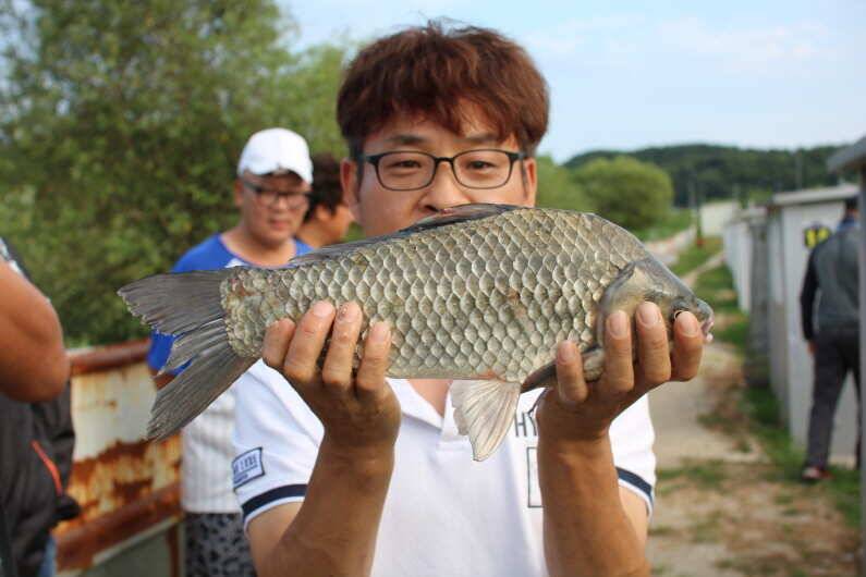 조사님들의 열정에 감탄한 토종 4짜 행진 (유료터정보 - 유료터점주조황)