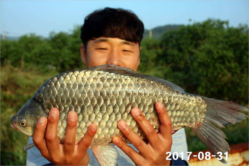 4짜 500번째 조사님을 찾습니다 (유료터정보 - 유료터점주조황)