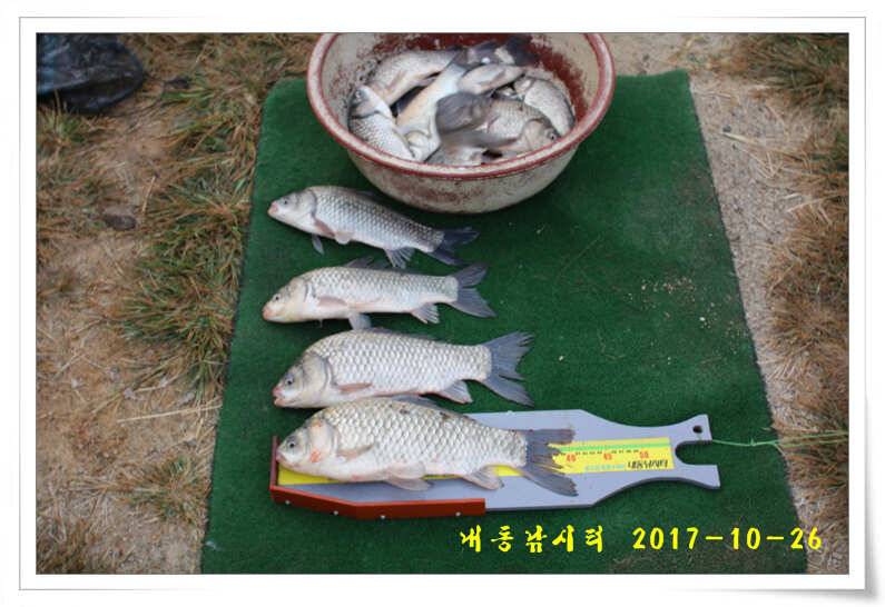 뻥 뚫렸다 (유료터정보 - 유료터점주조황)