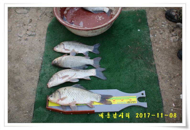 대물조황 (유료터정보 - 유료터점주조황)