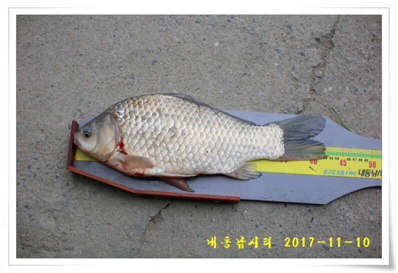 4짜 600번째 조사님을 찾습니다 (유료터정보 - 유료터점주조황)