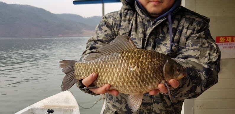 덜커덩 38cm 생미끼에 송전지 수원좌대 (유료터정보 - 유료터점주조황)