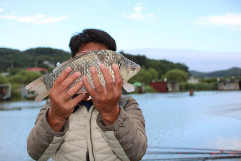 453cm 토종 4짜 800번째 조사님이 나왔습니다 (유료터정보 - 유료터점주조황)