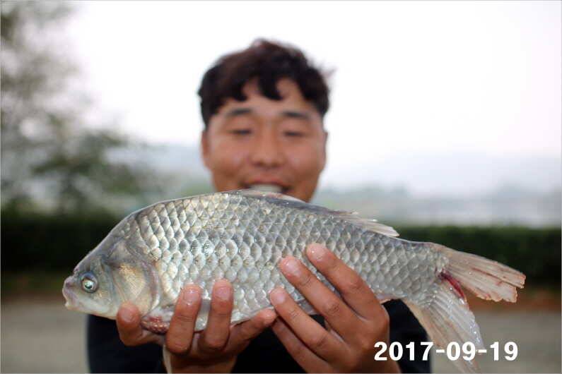추석이벤트 (유료터정보 - 유료터점주조황)