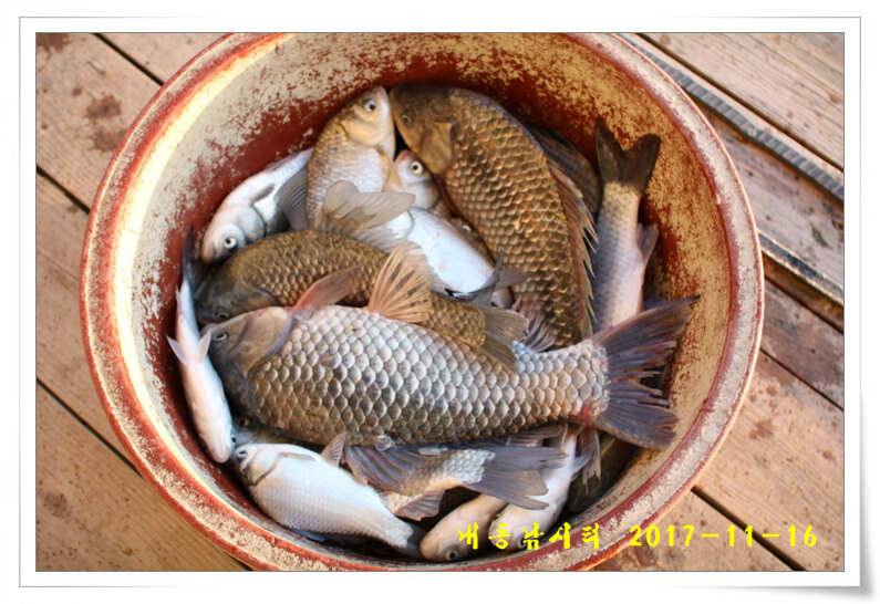 4짜 600번째 조사님을 찾습니다 (유료터정보 - 유료터점주조황)