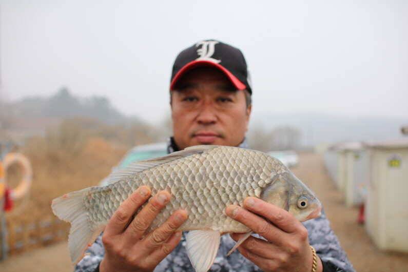 fish_pay_65217_093547_33878.jpg