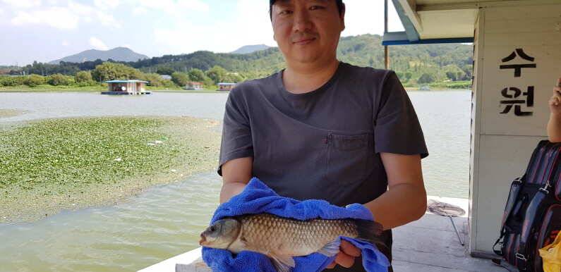 오름수위 마릿수 조황 송전지 수원좌대 (유료터정보 - 유료터점주조황)