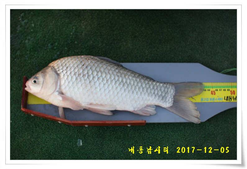 따뜻한 겨울 물낚시 (유료터정보 - 유료터점주조황)