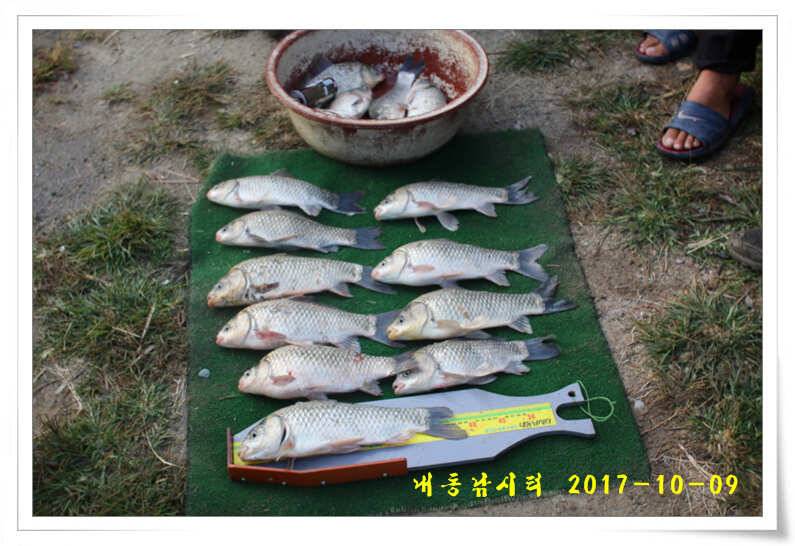 낚시의 계절 (유료터정보 - 유료터점주조황)