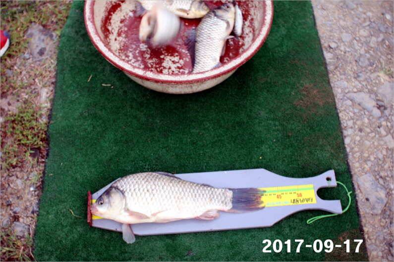 조황 만들기 (유료터정보 - 유료터점주조황)
