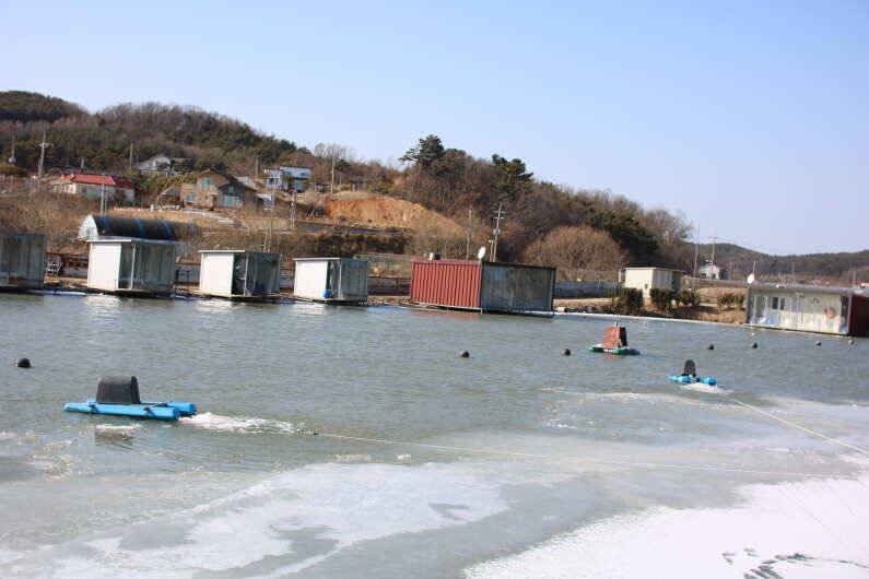 구정 이벤트 (유료터정보 - 유료터점주조황)