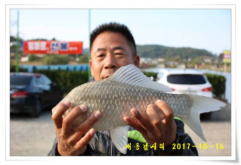 방류 또 방류 (유료터정보 - 유료터점주조황)