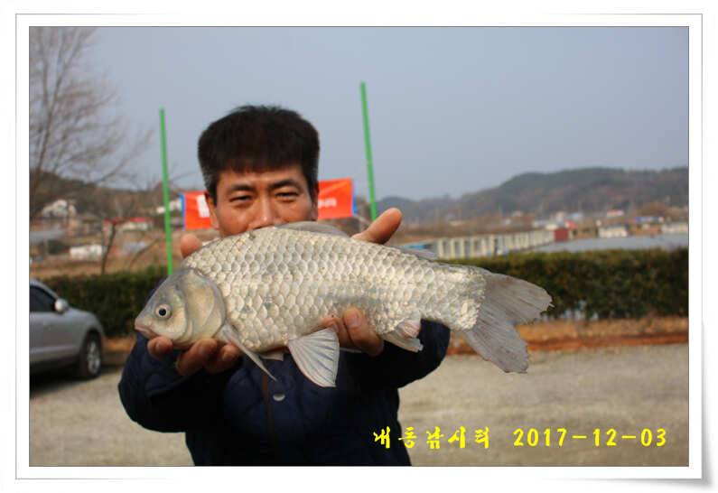따뜻한 겨울 물낚시 (유료터정보 - 유료터점주조황)