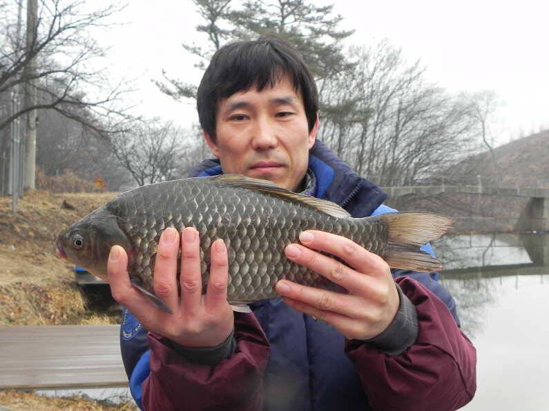 안성회암낚시터 주말조황 입니다 (유료터정보 - 유료터점주조황)