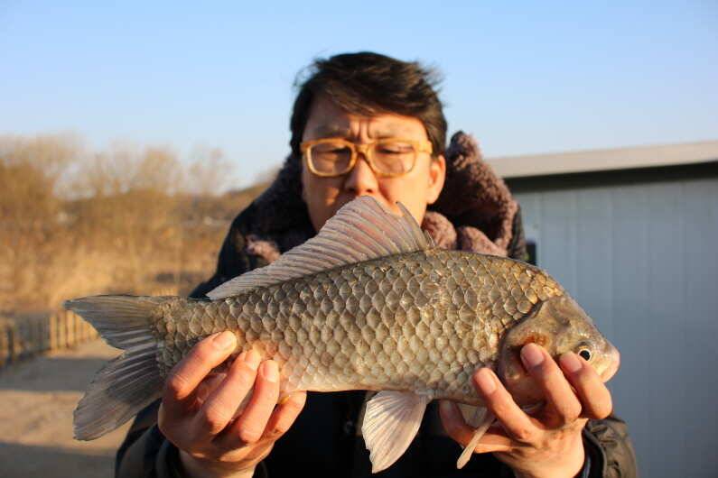 fish_pay_74ef3_093450_88615.jpg