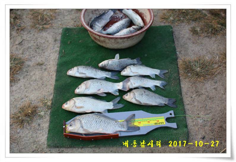 조황과 월동준비 (유료터정보 - 유료터점주조황)