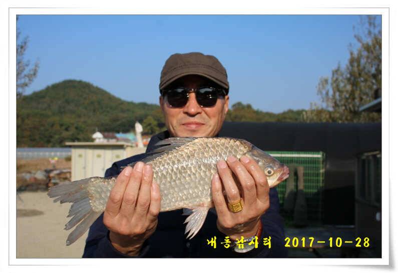 조황과 월동준비 (유료터정보 - 유료터점주조황)