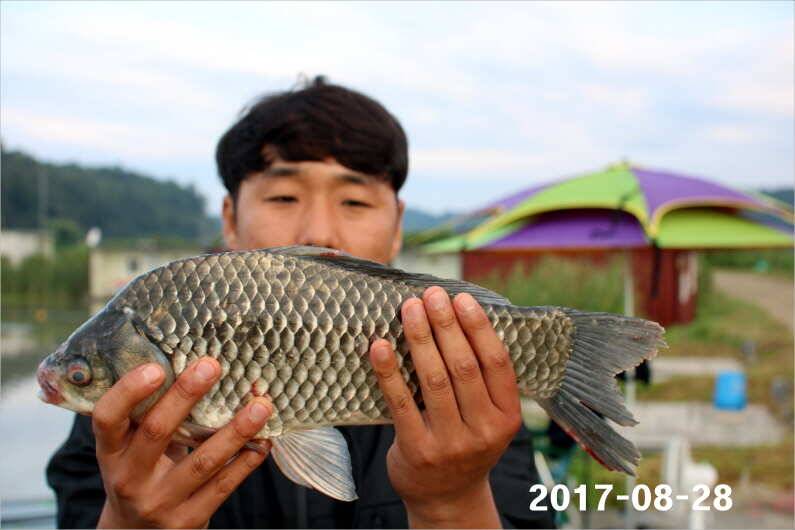 4짜 500마리 조사님을 찾습니다 (유료터정보 - 유료터점주조황)
