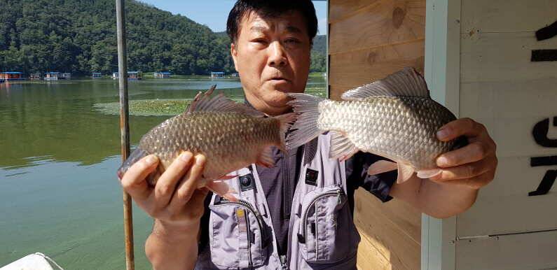 안정세 마릿수 조황 송전지 수원좌대 (유료터정보 - 유료터점주조황)
