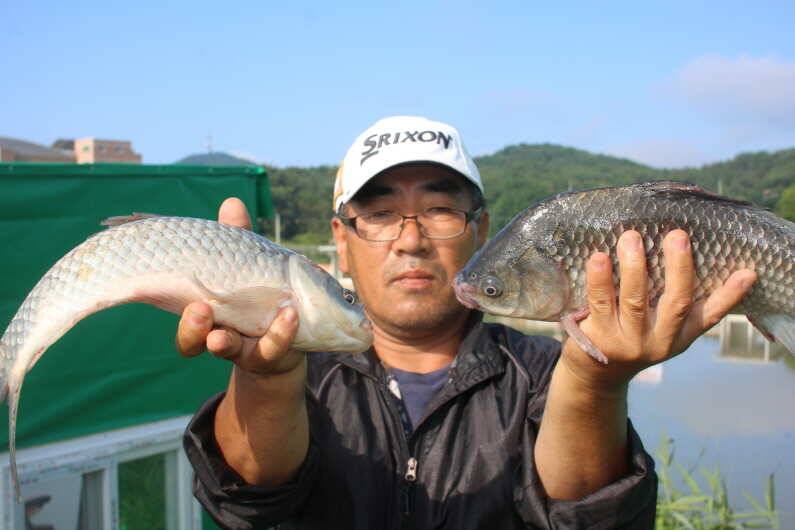 내동지 5주년 기념 이벤트를 마감하며 (유료터정보 - 유료터점주조황)