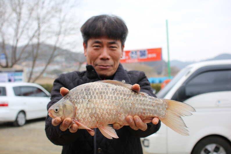fish_pay_82ac0_014848_27614.jpg