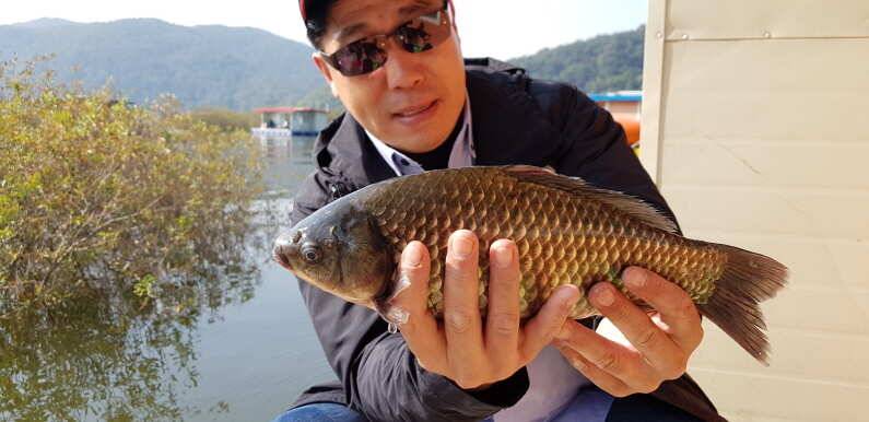 39cm 대물붕어 송전지 수원좌대 (유료터정보 - 유료터점주조황)