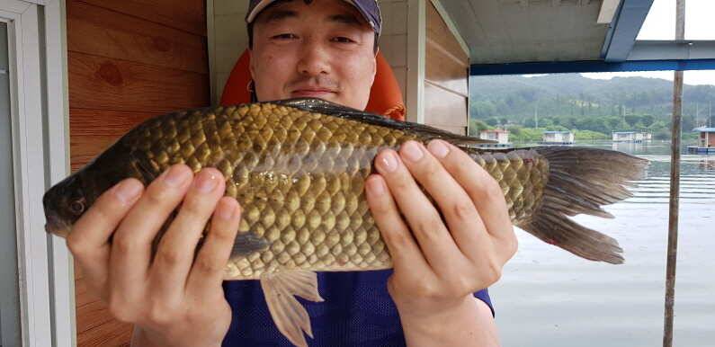 덜커덩 4짜 대물붕어 송전지 수원좌대 (유료터정보 - 유료터점주조황)