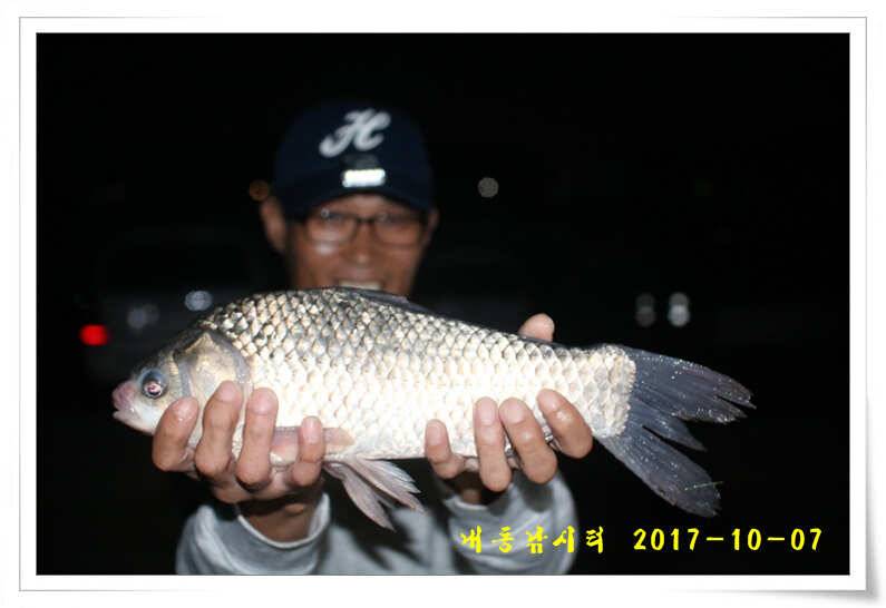 추석 연휴 대박 조황 (유료터정보 - 유료터점주조황)