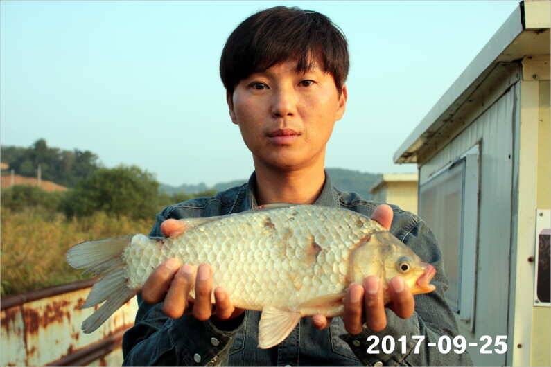 추석이벤트 (유료터정보 - 유료터점주조황)