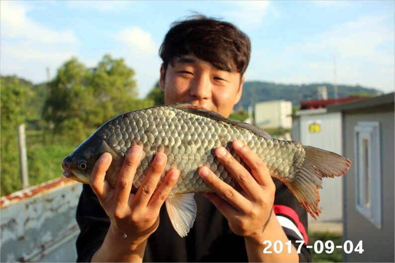 주간 이벤트 주인공 (유료터정보 - 유료터점주조황)