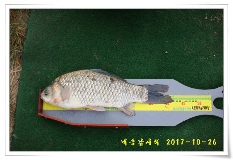 뻥 뚫렸다 (유료터정보 - 유료터점주조황)