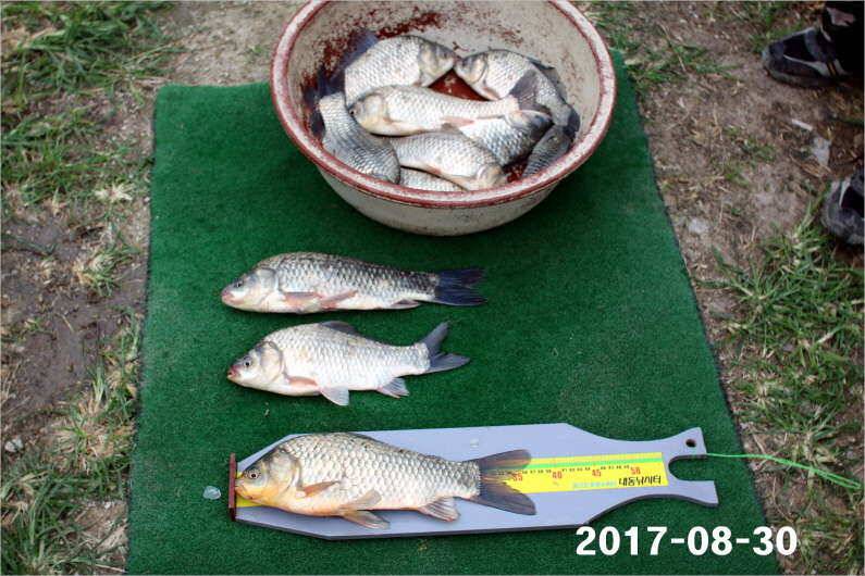 4짜 500번째 조사님을 찾습니다 (유료터정보 - 유료터점주조황)