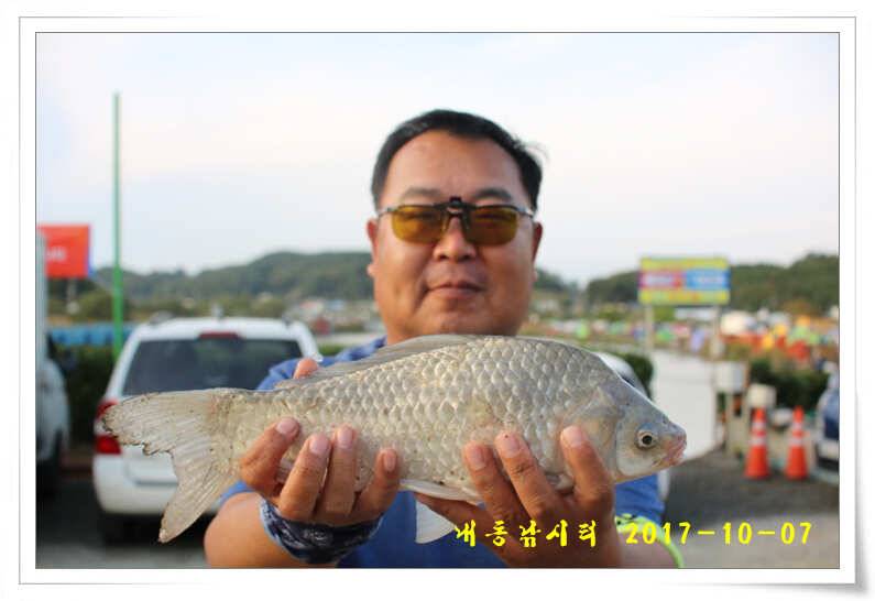 추석 연휴 대박 조황 (유료터정보 - 유료터점주조황)