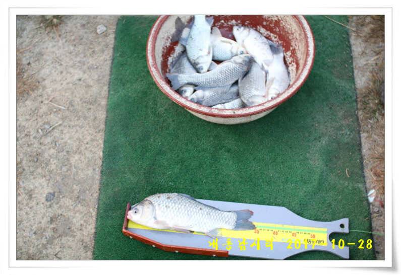 조황과 월동준비 (유료터정보 - 유료터점주조황)