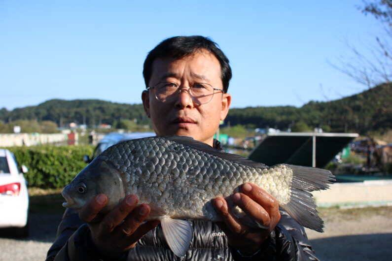 조항과 방류 (유료터정보 - 유료터점주조황)